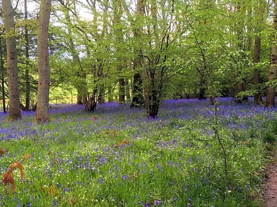 The Grange Silverstone