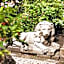 THE GATE GARDEN Hotel