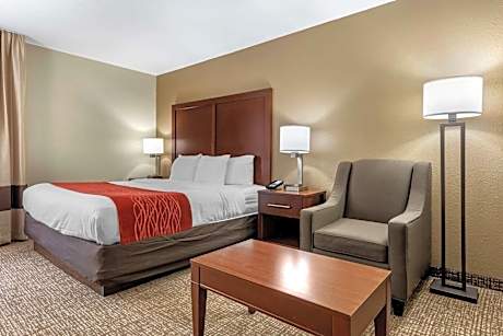 Standard King Room - Non-Smoking