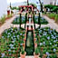 Hotel Andalucia