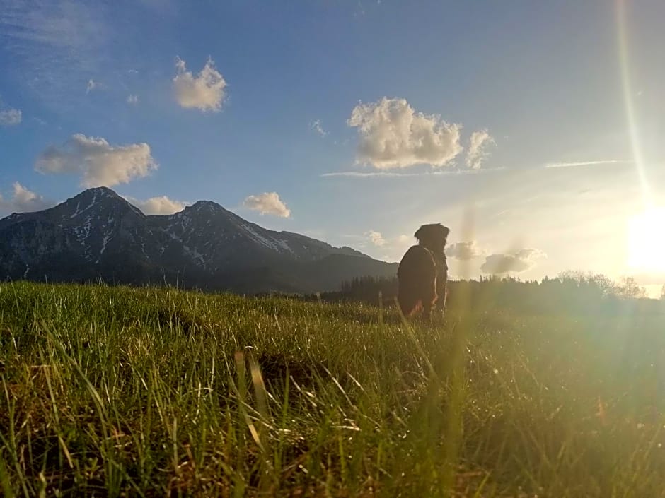 Chalúpka u Babičky