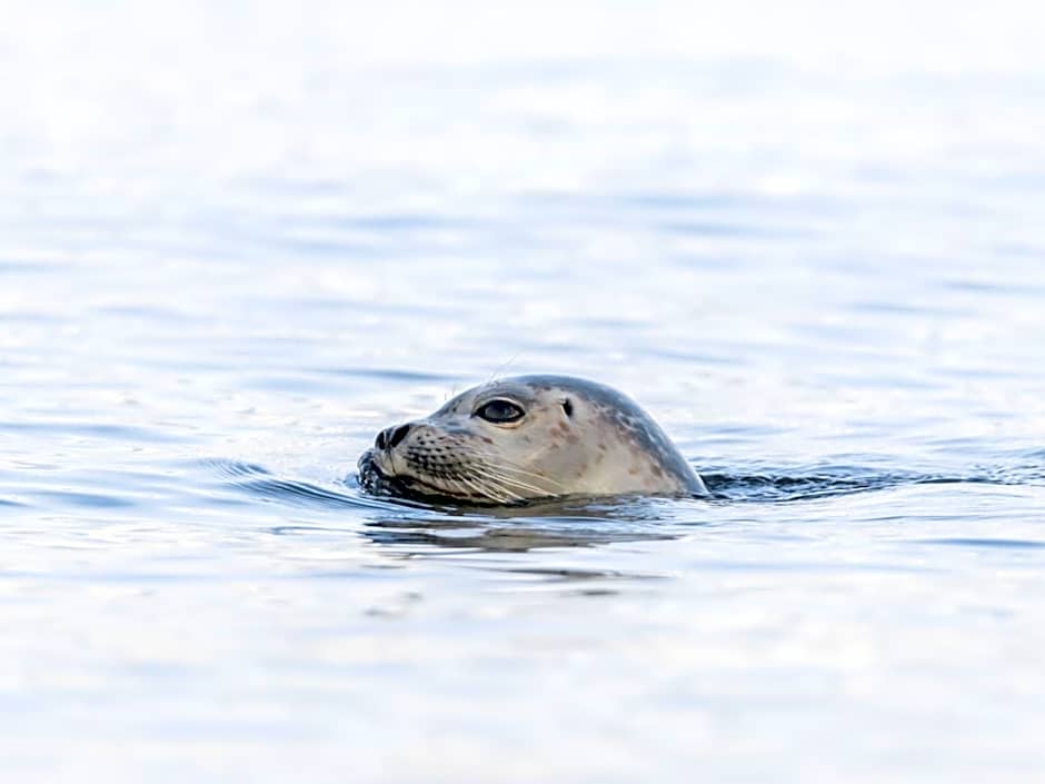 BE BIO Hotel be natural - direkt am Wasser