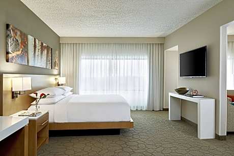 Presidential Suite, Suite, 1 King, Sofa bed