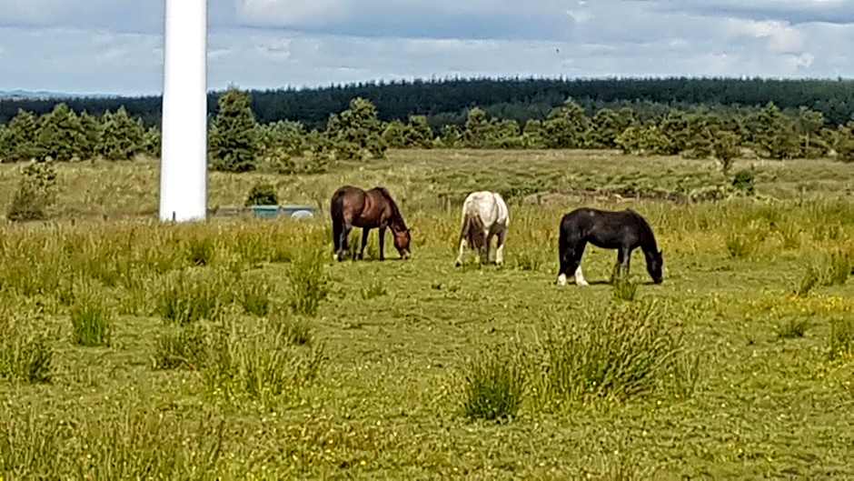 Blairmains Guest House