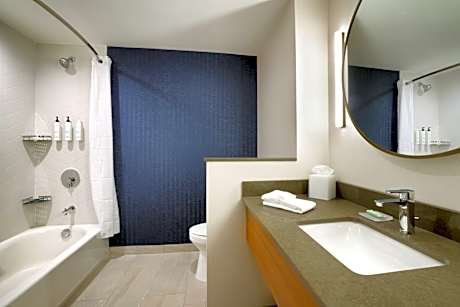 Large King Suite with Sofa Bed/Tub/Urban View - Mobility Accessible