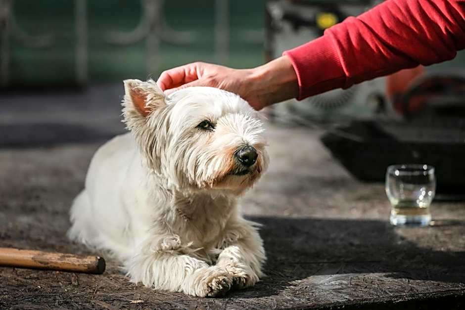 Ośrodek Wypoczynkowy CHAMPION