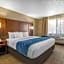 Comfort Suites Cedar Falls