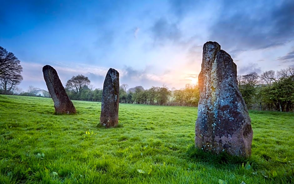 Shepherd’s delight