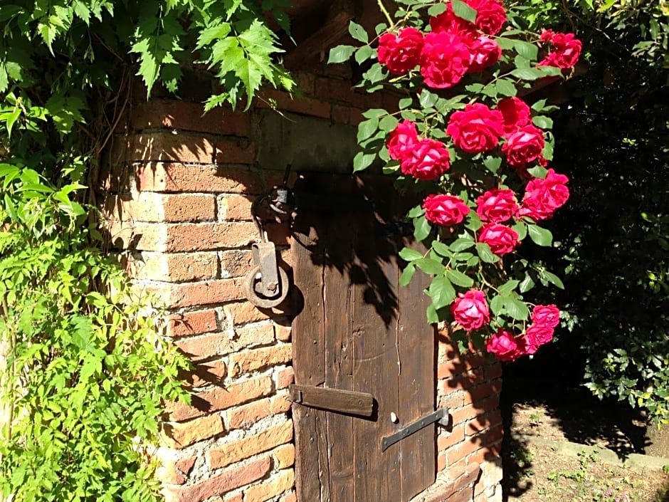 Il Poggiolo Delle Rose Bed&Breakfast