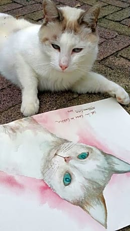 B&B La Casa in Collina