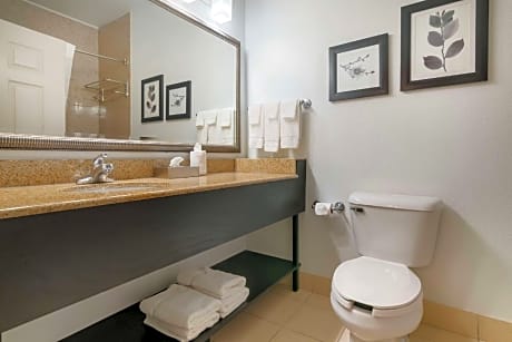 King Room - Disability Access