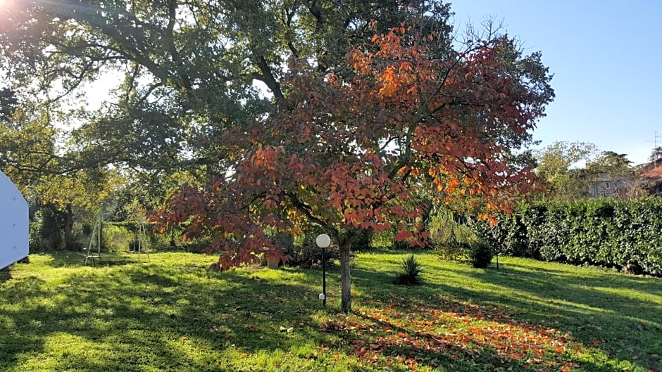 B&B Le Cinque Querce
