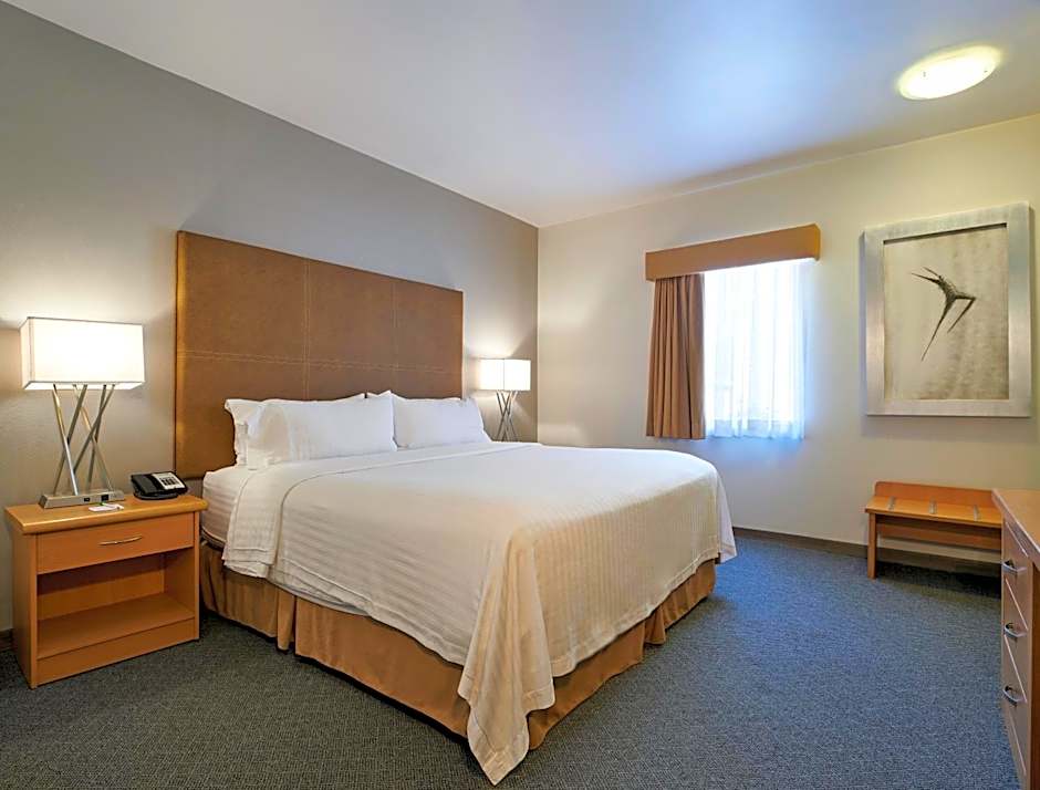 Holiday Inn Hotel & Suites Chihuahua By IHG