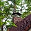 Guesthouse Canterbury