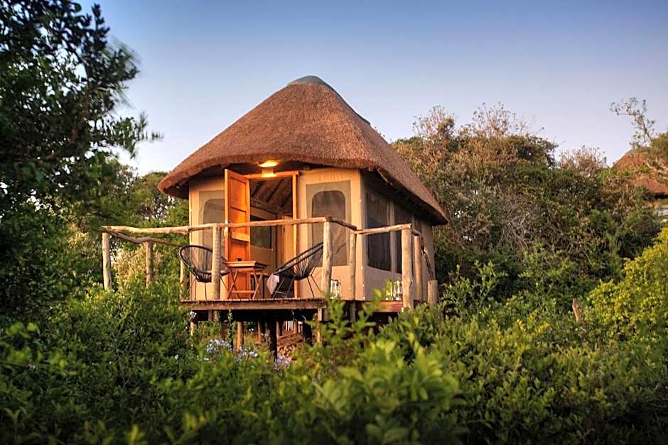 Addo Elephant Safari Lodge - Bellevue Forest Reserve