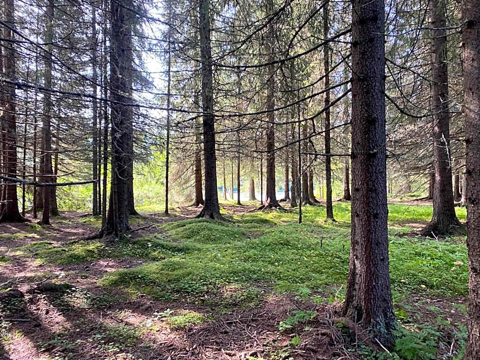 Millestgården Eco lodge