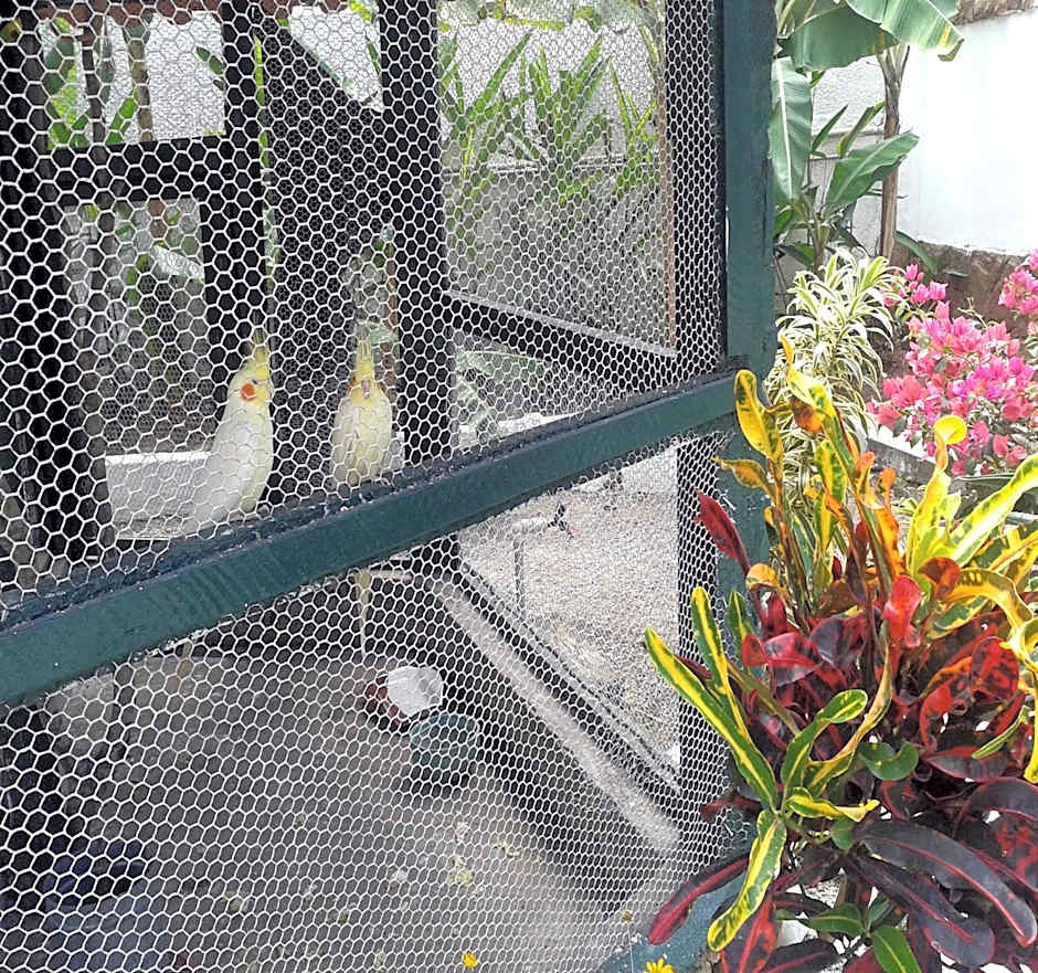 Pousada Calvanos Chalés