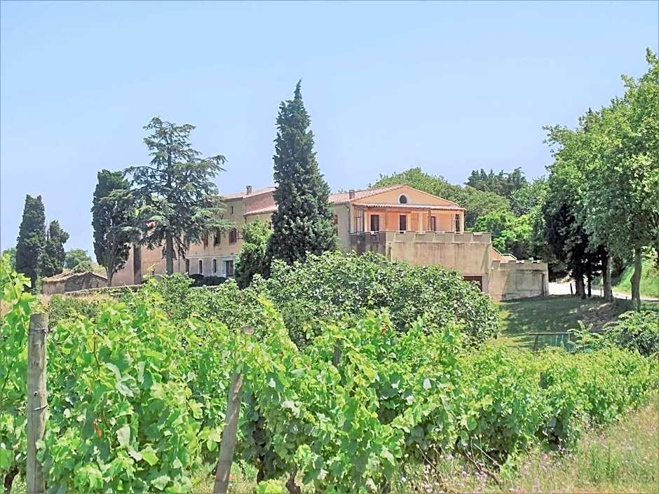 Domaine De La Petite Tour