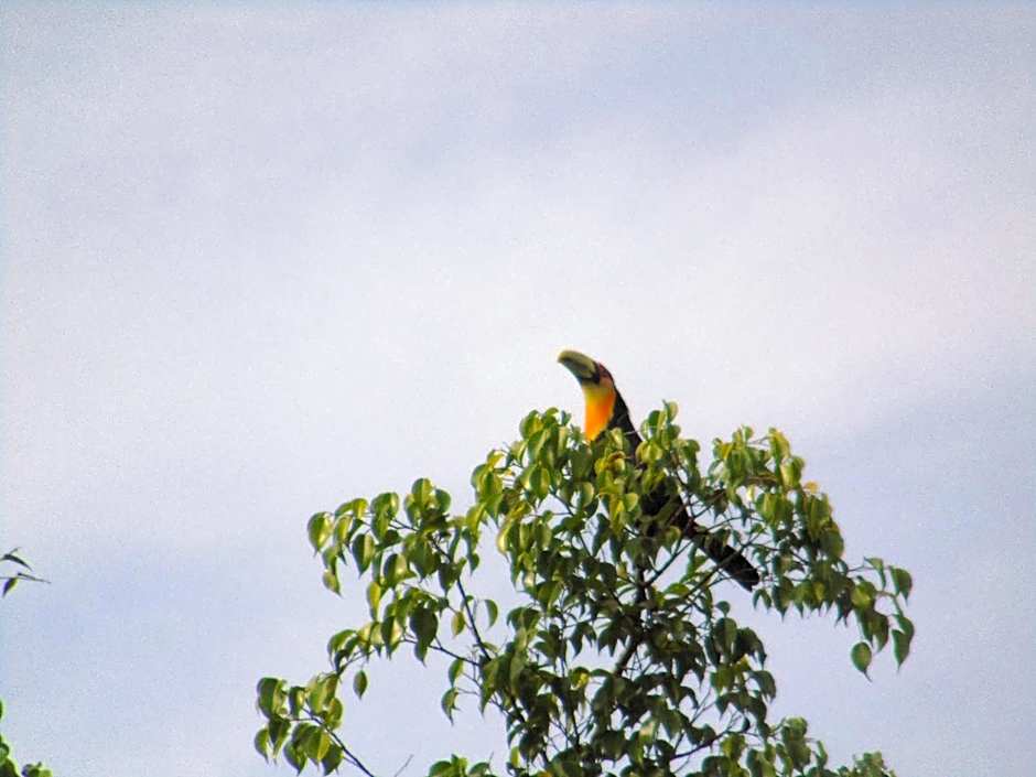 Pousada do Mendonça