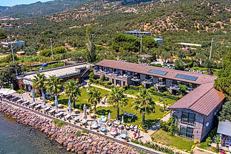 Assos Zeyti̇n Han Special Class Hotel Adults only 12