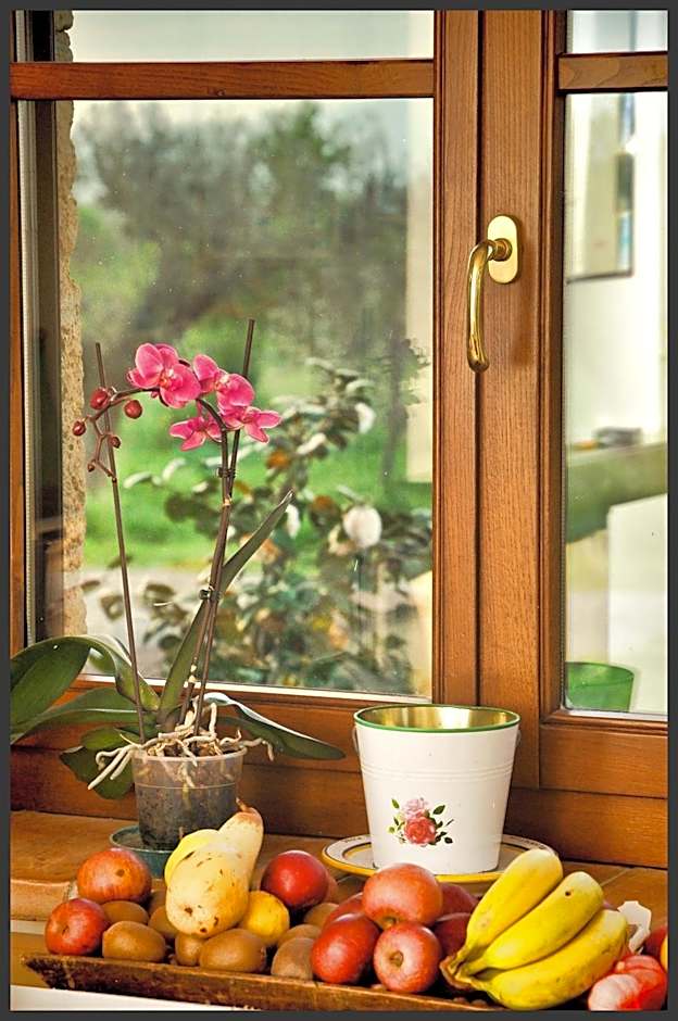 B&B Predio San Fernando