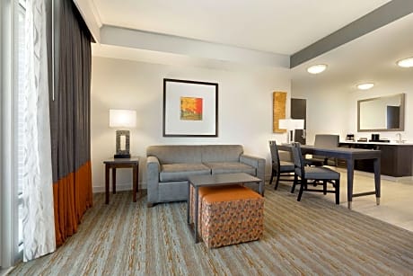 1 King Studio Suite