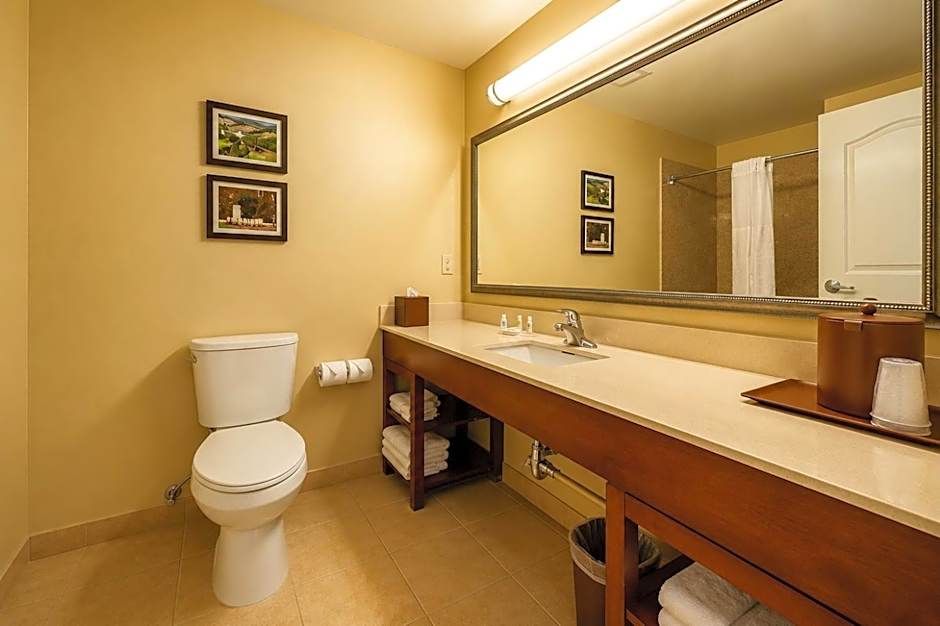Comfort Inn Pomona Near Fairplex