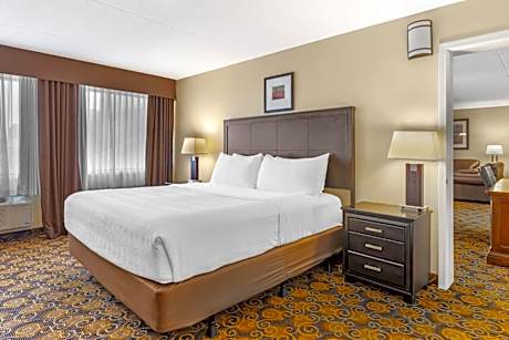 Suite-1 King Bed Non-Smoking Fireplace Sofa Microwave And Refrigerator Wi-Fi Full Breakfast