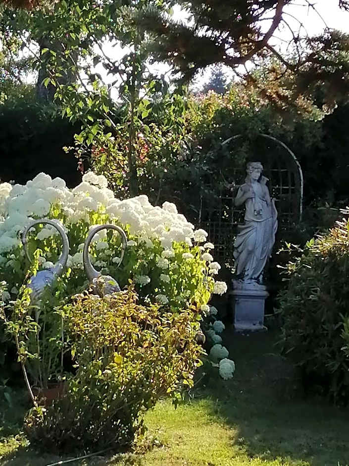 Le Frêne Fringant