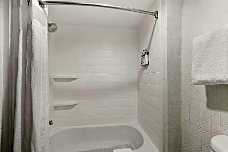 One-Bedroom King Suite