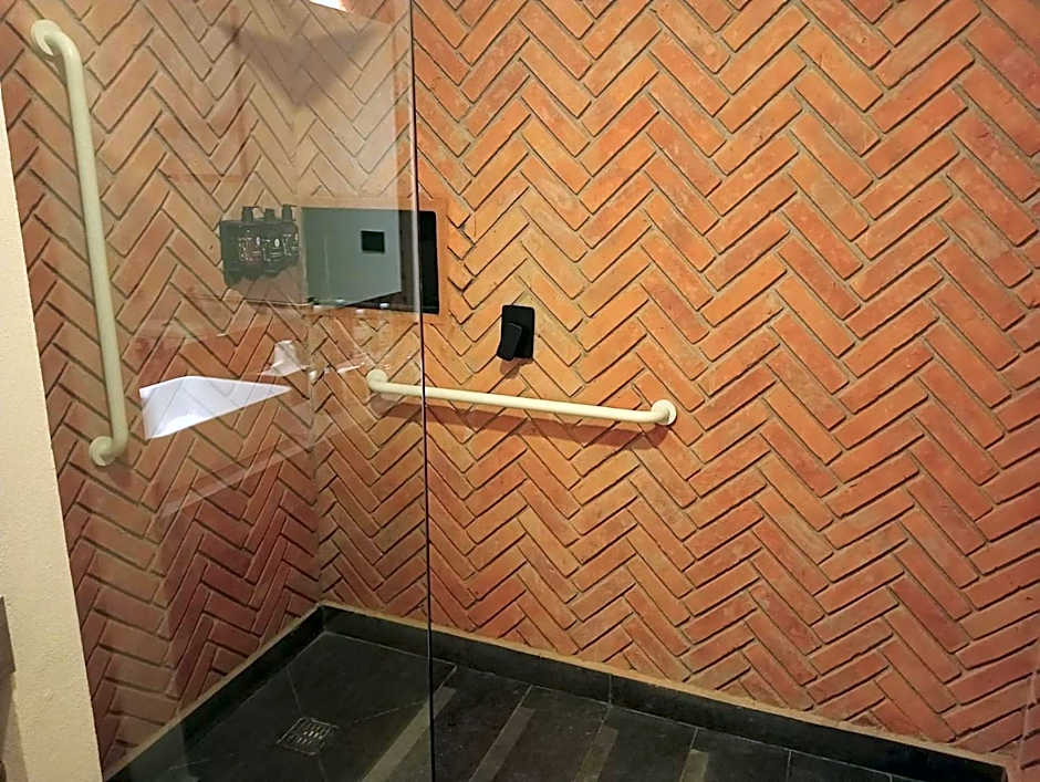 Esplendor by Wyndham San Luis Potosi Monarca