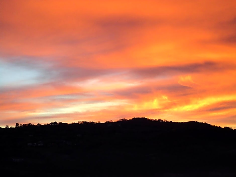 Alla Contrada degli Asinelli