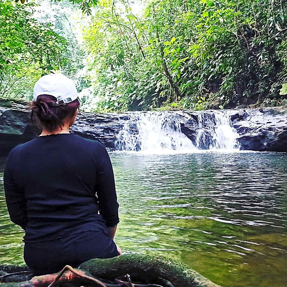 Green Forest Tangkahan