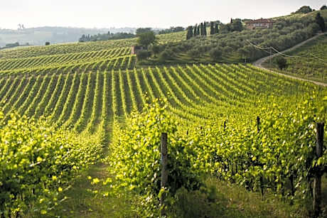 Tenuta Di Monaciano