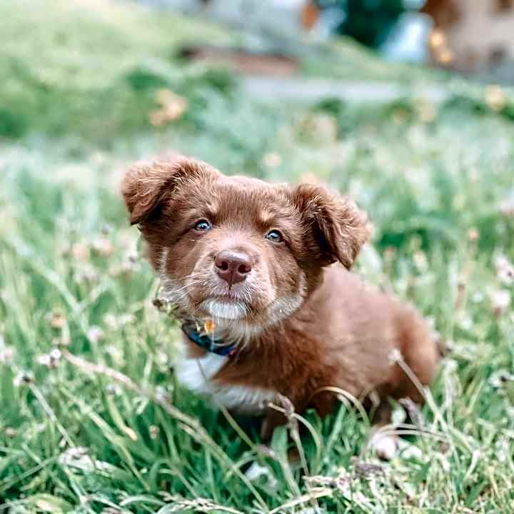 Chalet Hohe Welt - luxury apartments