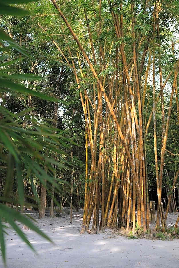 Ashamaya Belitung (Dome Glamping Site)