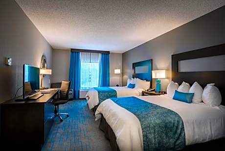 Queen Suite with Kitchen