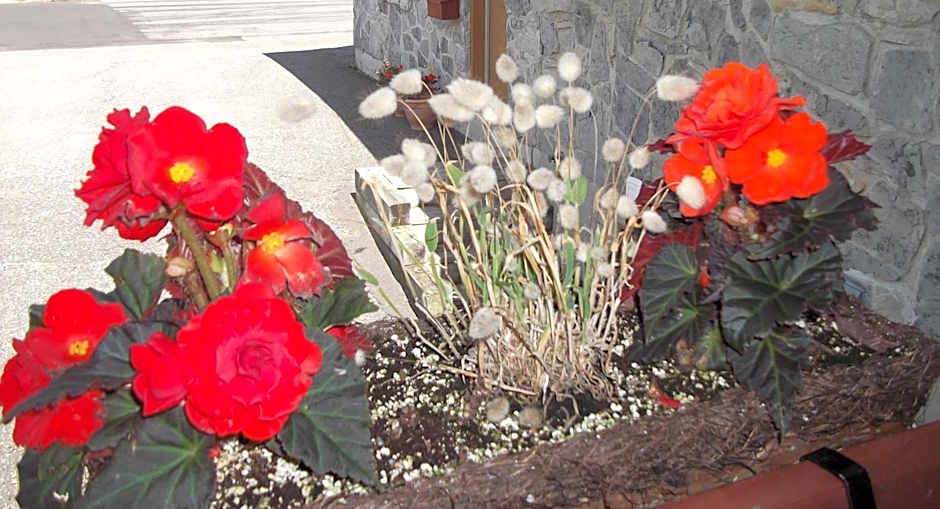 Au Gîte de la Chute