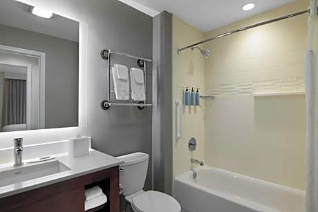 Basic Studio, 1 King Bed with Sofa bed (Hearing Accessible) (1 King Bed and 1 Double Sofa Bed)