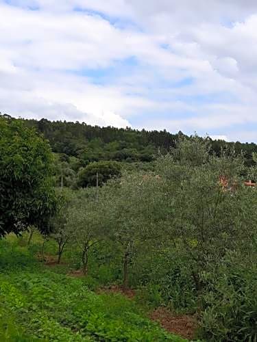 Quinta dos Templários