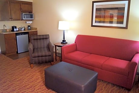 2 Queens Microwv/Fridge/Wet Bar Suite Ns