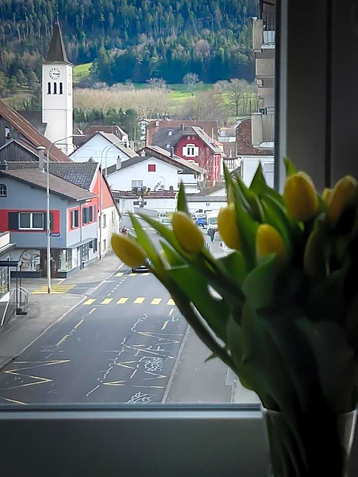 Hotel La Croix Blanche - Bassecourt