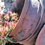 Monakaladi Gardens Function Venue and Homestead