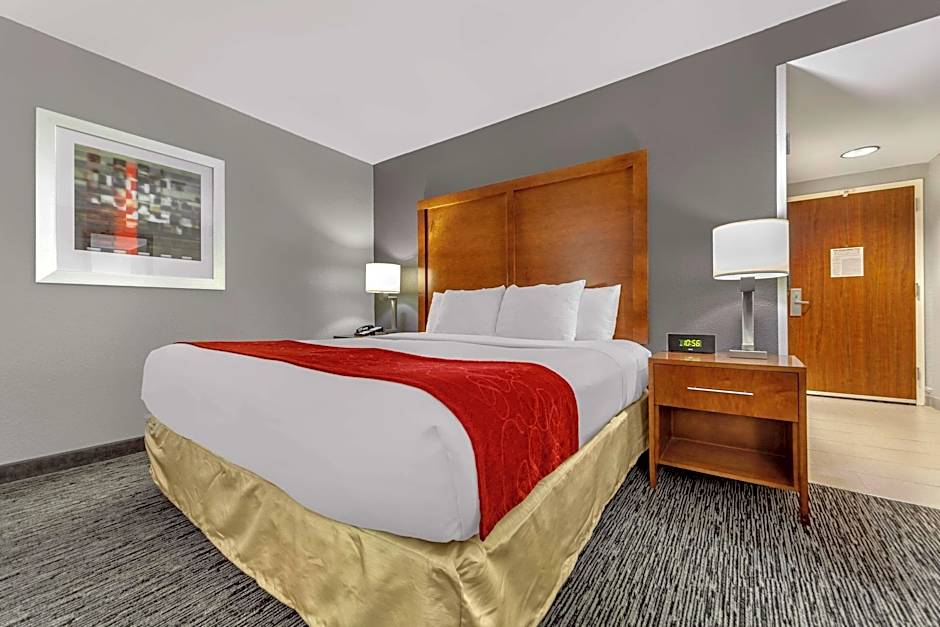 Photo 1 of 4 of 1 King Bed Suite