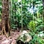 Chambers Wildlife Rainforest Lodges