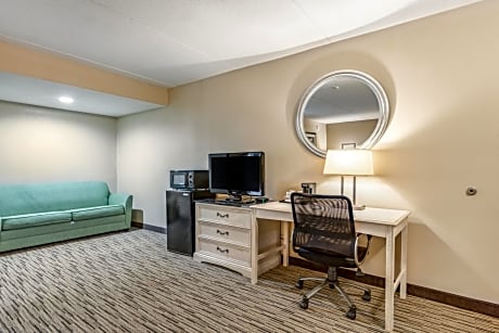 Suite-1 King Bed, Non-Smoking, Flat Screen Television, Sofabed, Desk, Microwave And Refrigerator, High Speed Internet Access, Continental Breakfast
