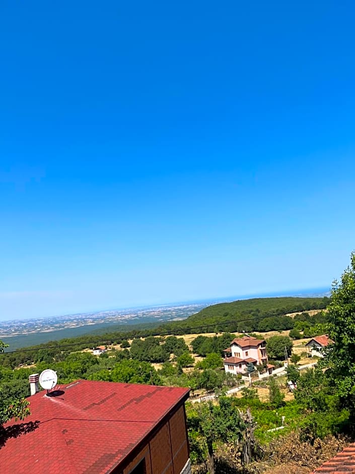Ψητοπωλείο Καφέ Ενοικιαζόμενα Δωμάτια Όλυμπος