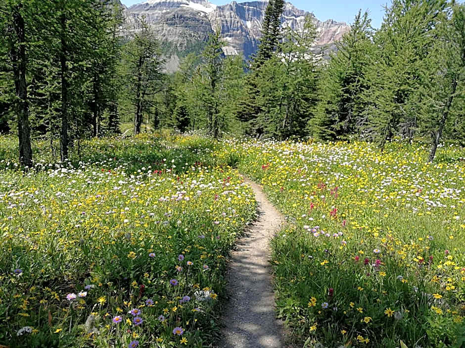 Sunny Tranquil Woods Turret in Falcon Crest Lodge