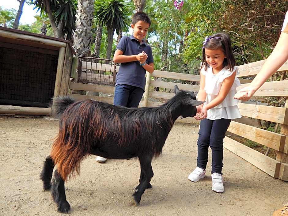 Hotel Selwo Lodge - Animal Park Tickets Included