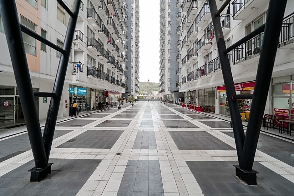 The Jarrdin by Bethania Pro by ZUZU